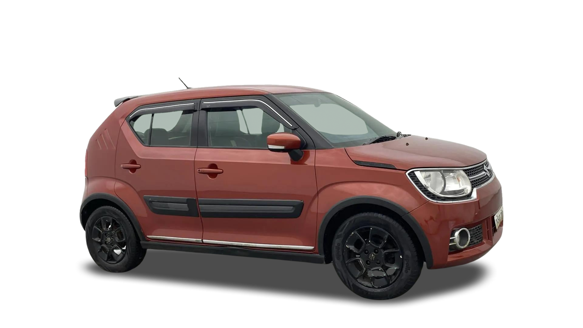 Maruti IGNIS-img