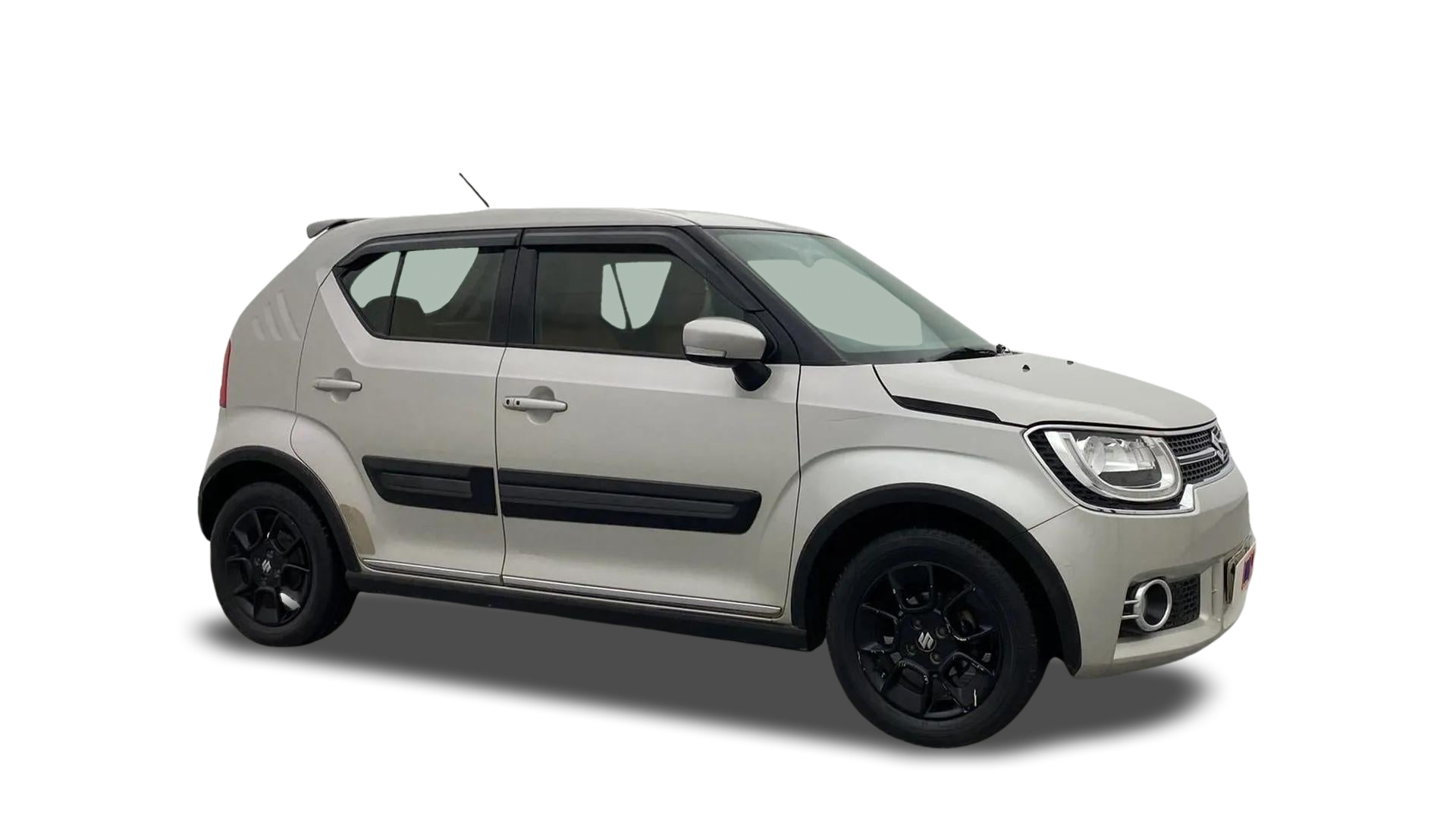 Maruti IGNIS-img
