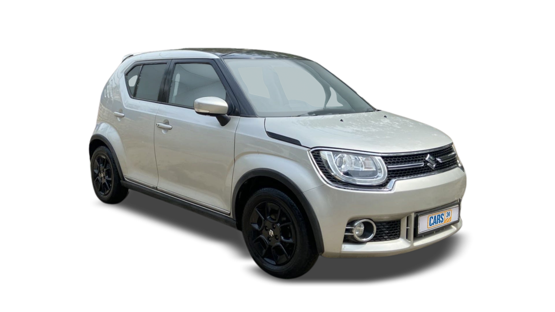 Maruti IGNIS-img