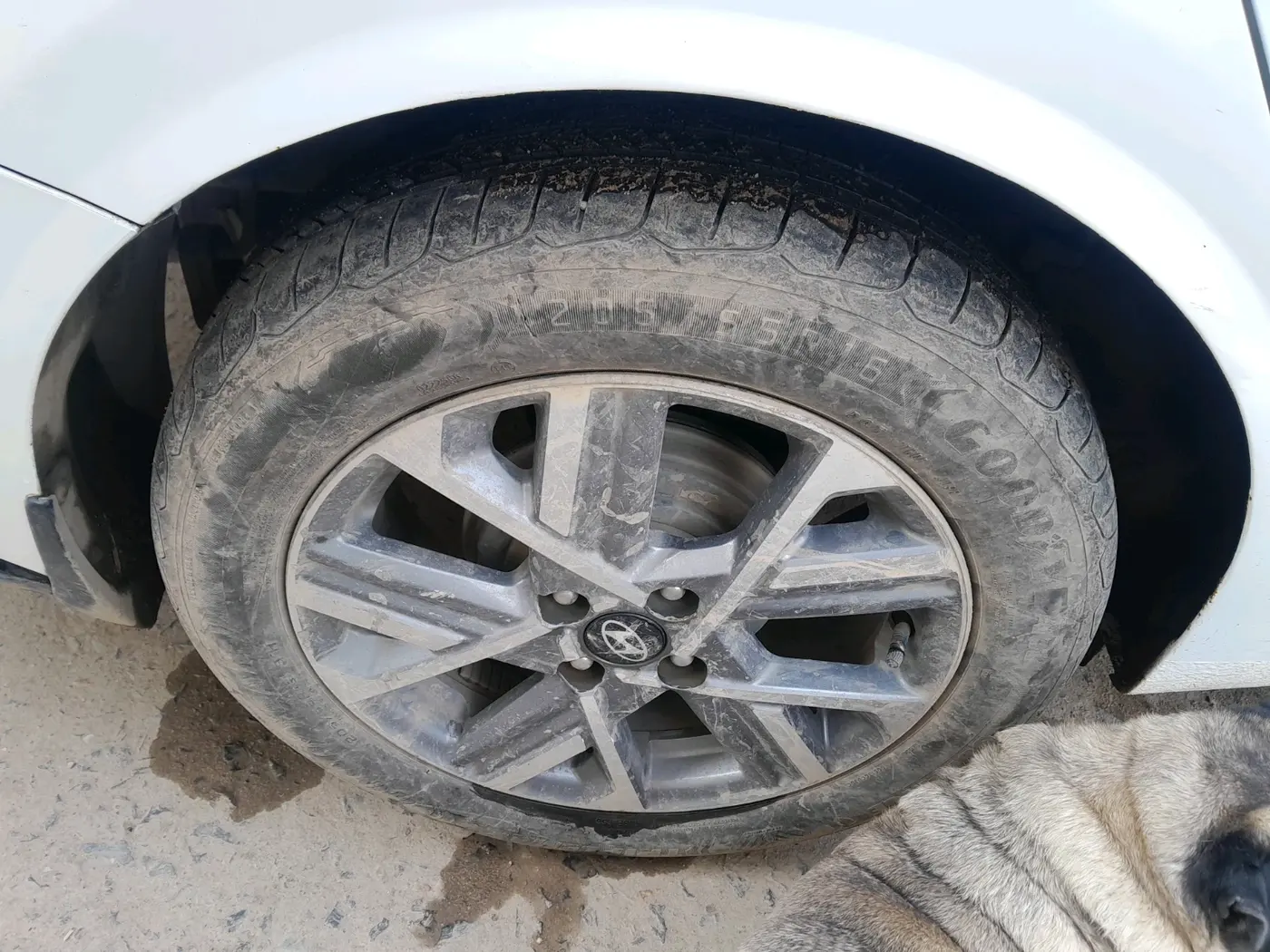 2023 Hyundai Verna SX 1.5 l MPI, Petrol, Manual, 12,544 km, tyre