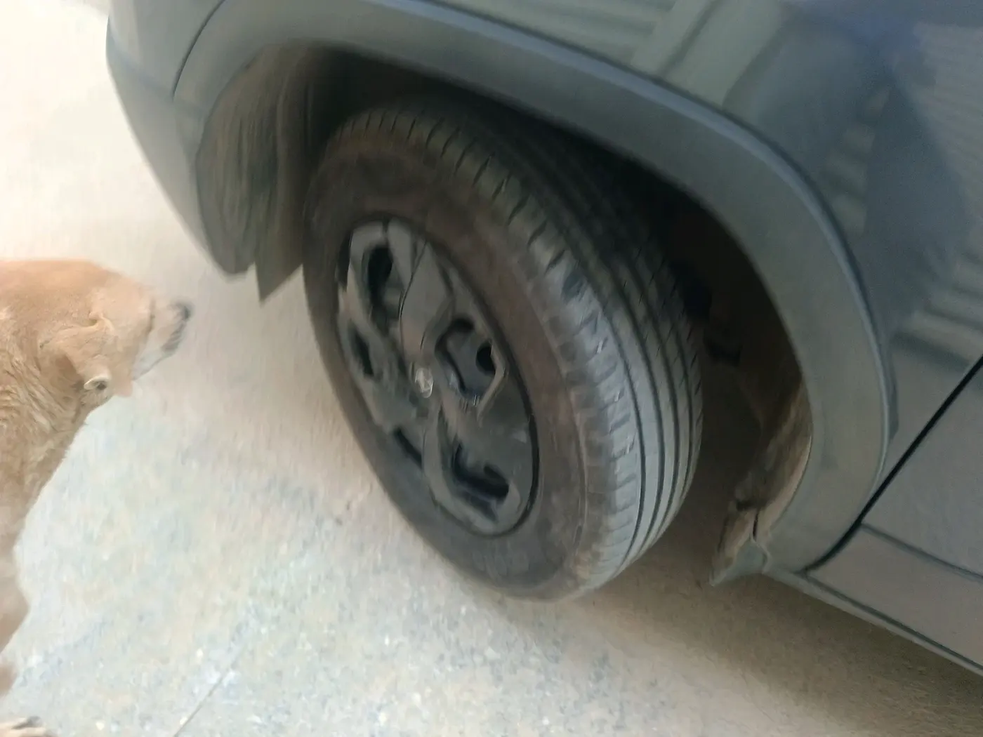 2024 Tata PUNCH ADVENTURE MT, Petrol, Manual, 16,312 km, tyre