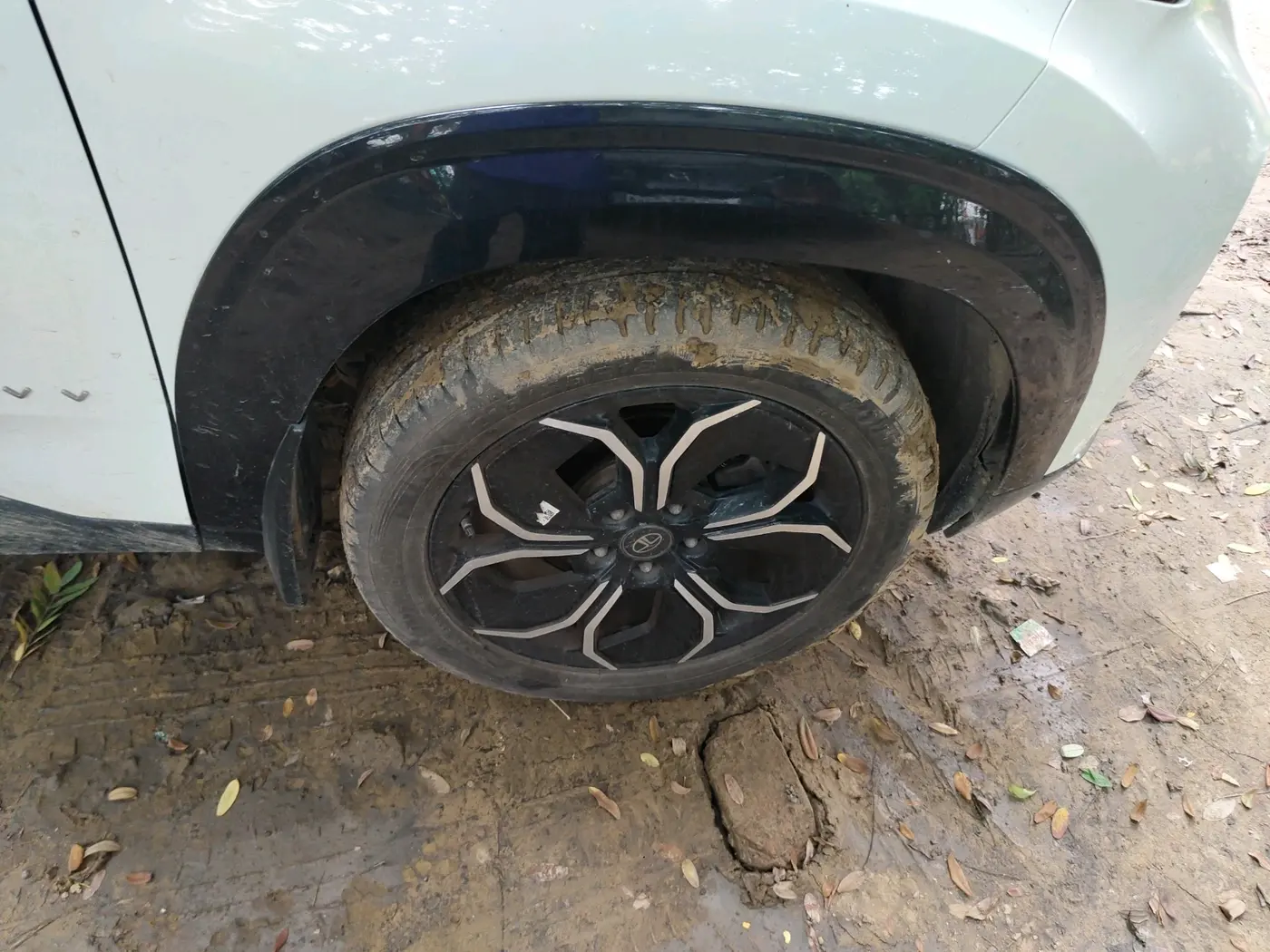 2024 Tata Curvv Accomplished S 1.2 Petrol 6MT, Petrol, Manual, 22,583 km, tyre